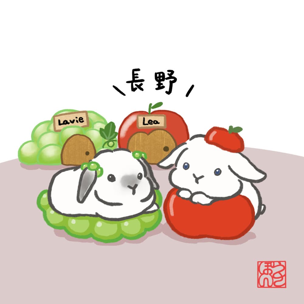 長野のご当地うさぎを描いたイラスト