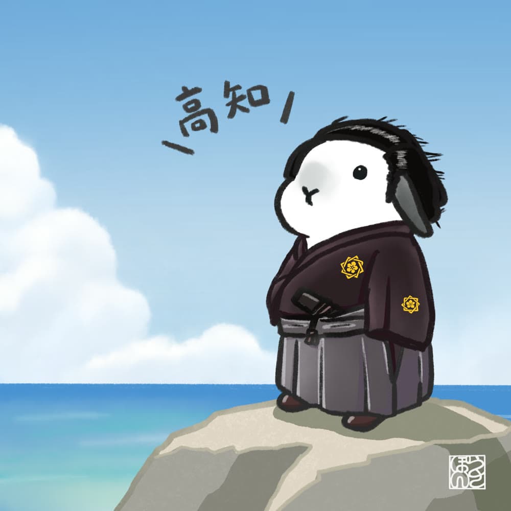 高知のご当地うさぎを描いたイラスト