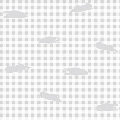 ごろんとしたうさぎとギンガムチェックの生地柄